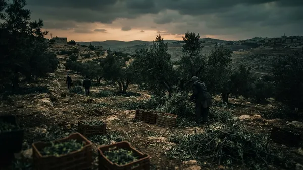 Violence Escalates in West Bank Against Farmers and Journalists
